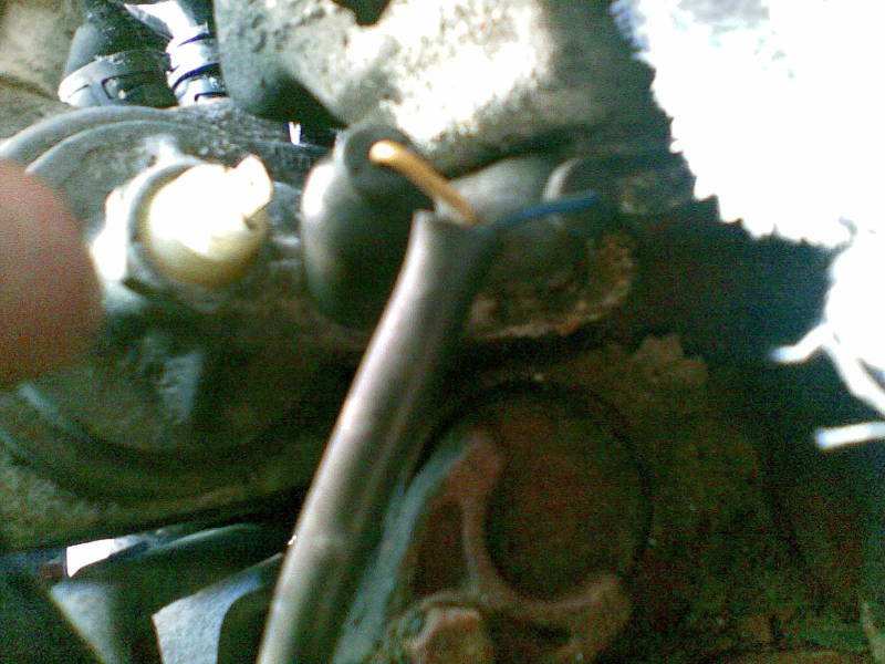 Scaled image 01082008(003).jpg 