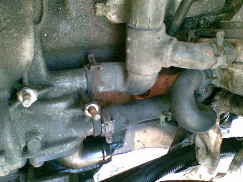 Scaled image 01082008.jpg 