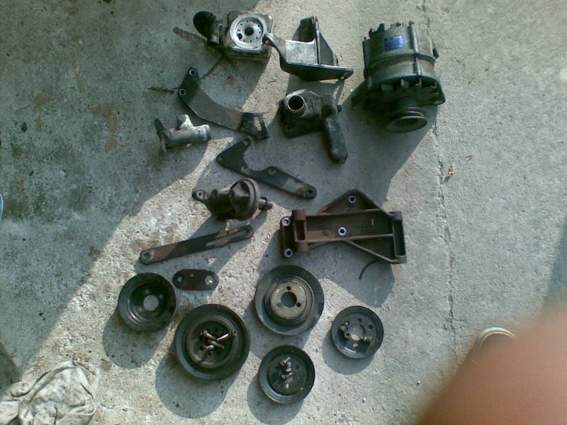 Scaled image 02082008(009).jpg 