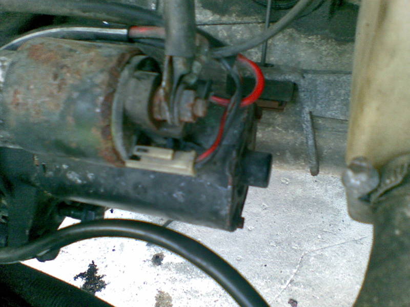 Scaled image 09082008(002).jpg 