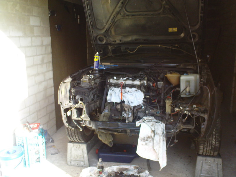 Scaled image DSC00189.JPG 