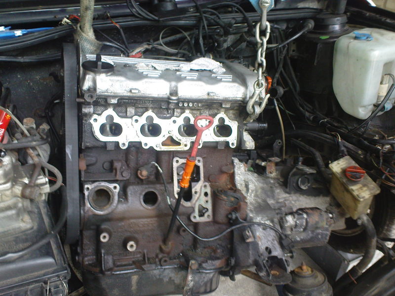 Scaled image DSC00207.JPG 