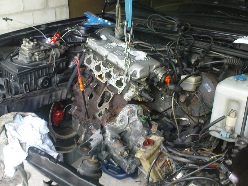 Scaled image DSC00210.JPG 