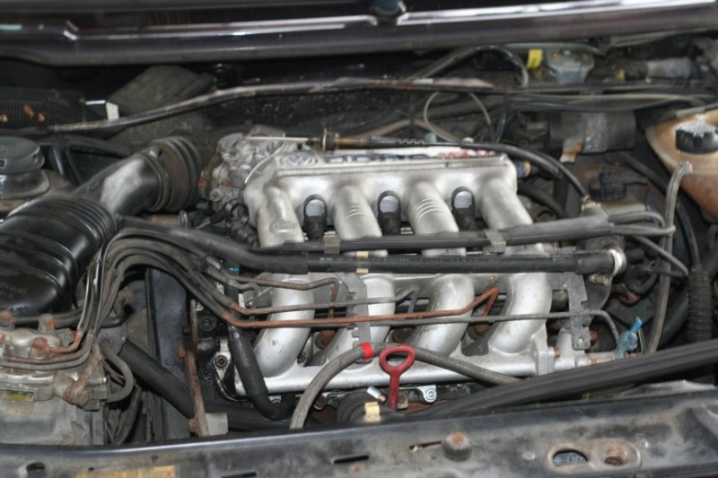 Scaled image IMG_4724.jpg 