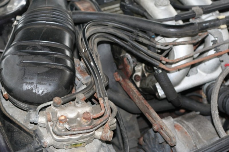 Scaled image IMG_4725.jpg 