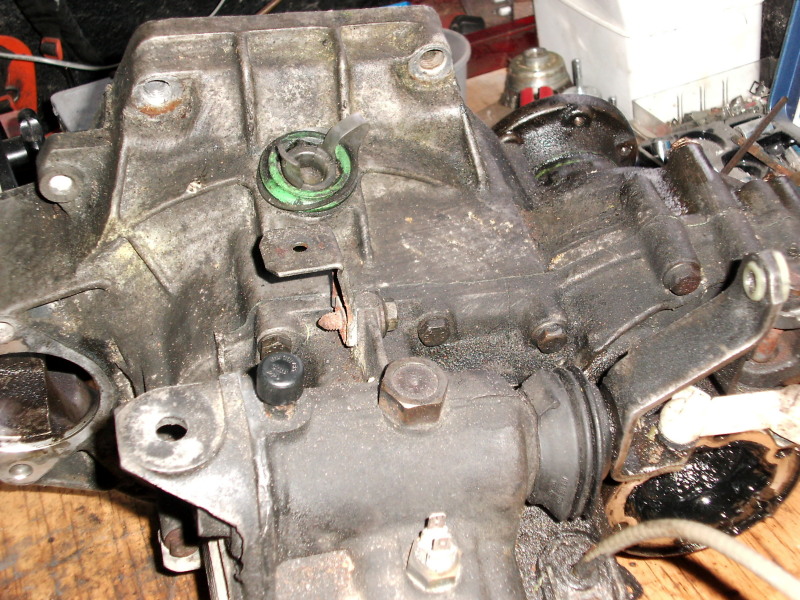 Scaled image dsci0155.jpg 