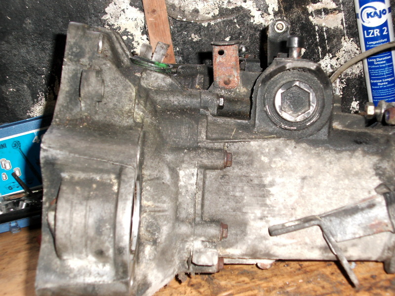 Scaled image dsci0156.jpg 