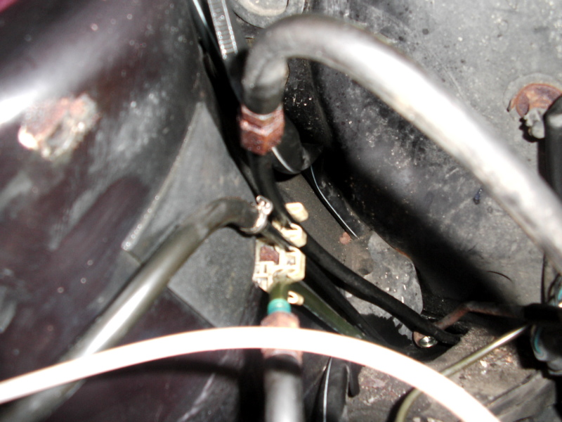 Scaled image dsci0162.jpg 