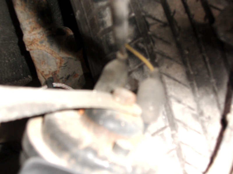 Scaled image dsci0163.jpg 