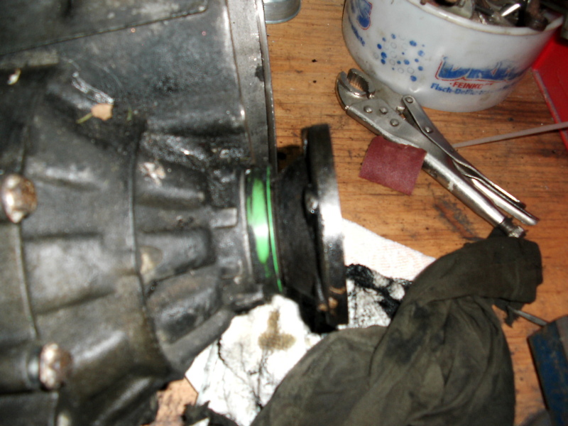 Scaled image dsci0168.jpg 