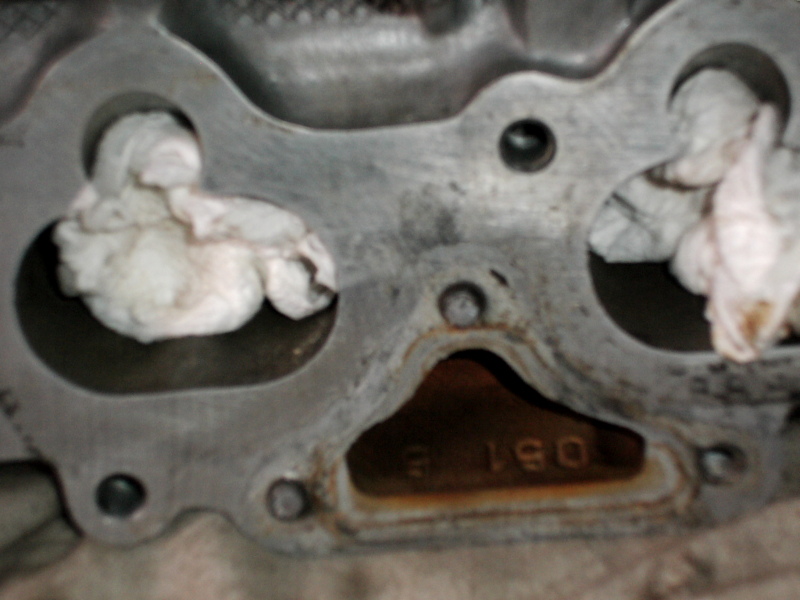 Scaled image dsci0194.jpg 