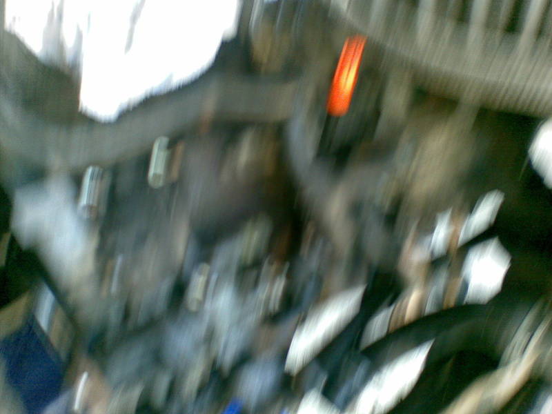 Scaled image kaki_0.jpg 