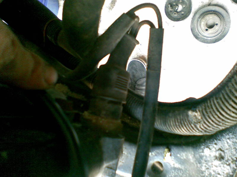 Scaled image 01082008(004).jpg 