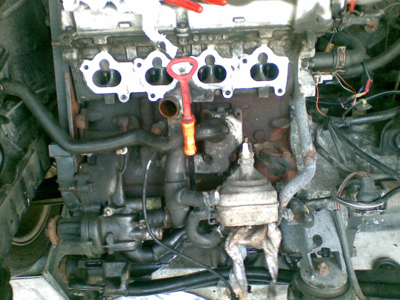 Scaled image 01082008(005).jpg 