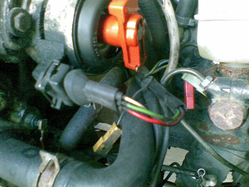 Scaled image 09082008(003).jpg 