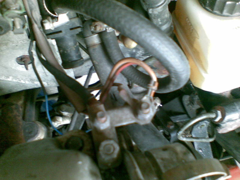 Scaled image 09082008(007).jpg 