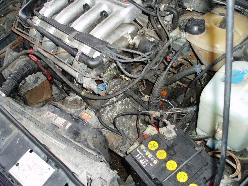 Scaled image P3010799_2.JPG 