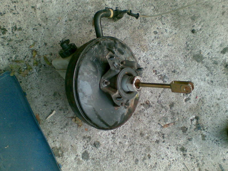 Scaled image bkv.jpg 