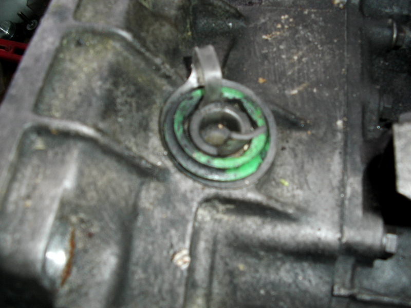 Scaled image dsci0152.jpg 