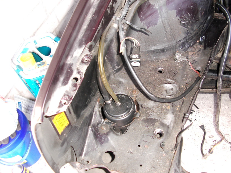 Scaled image dsci0159.jpg 