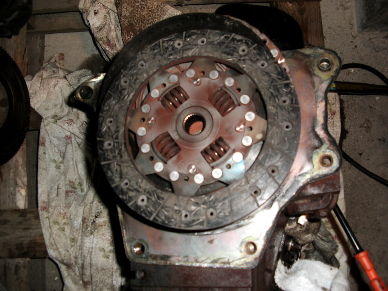 Scaled image dsci0179.jpg 