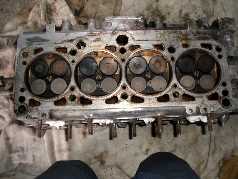 Scaled image dsci0196.jpg 