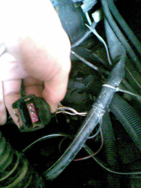 Scaled image stecker_unb_2.jpg 